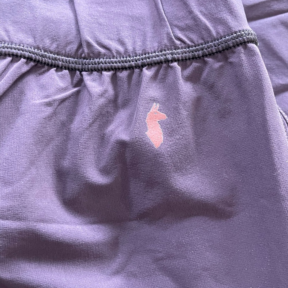 Cotopaxi Jogger Pants - Picture 8 of 9